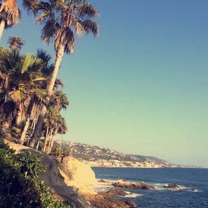 Meet your Posher, Llewella